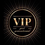 VIP-project gemeenteraad