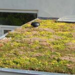 Investeer in groen, niet in grijs!