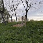 Zinloze vernieling boompjes